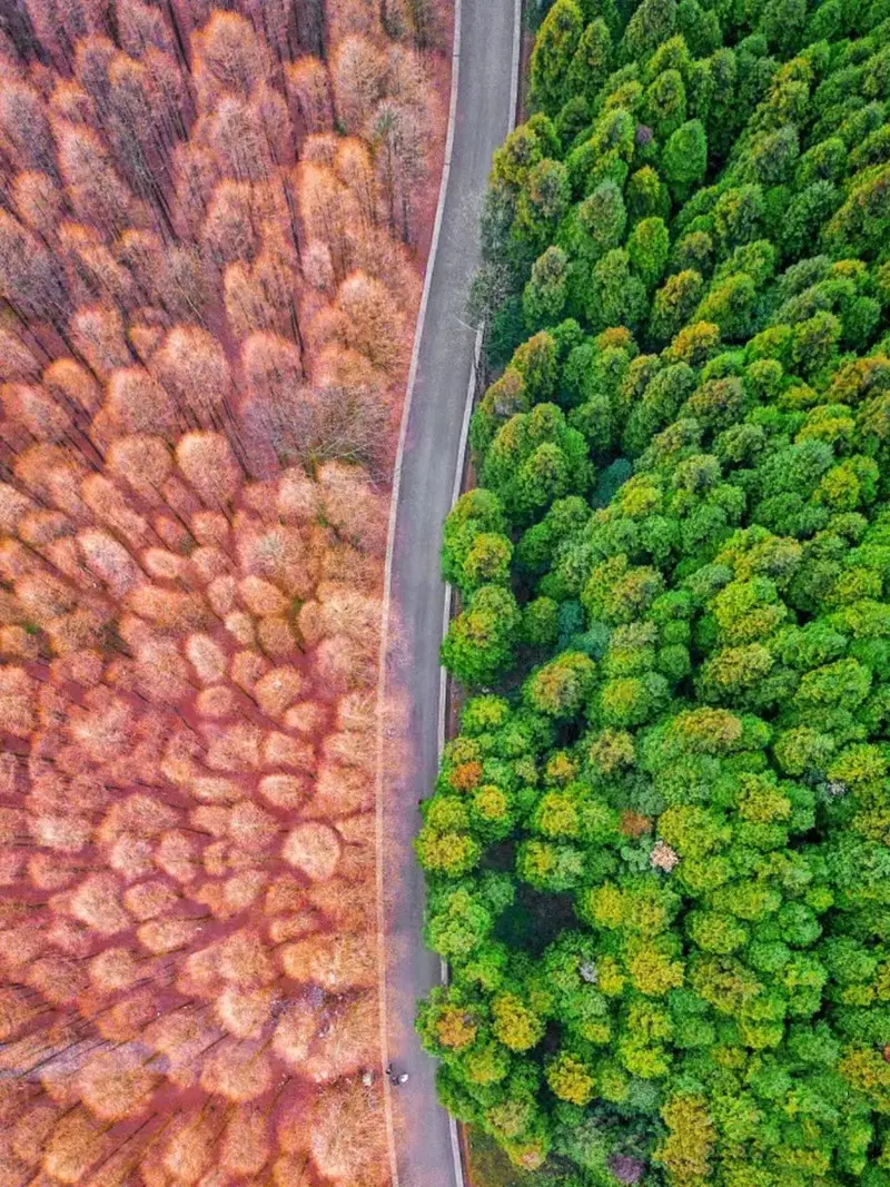 Shanwangping Karst National Ecological Park