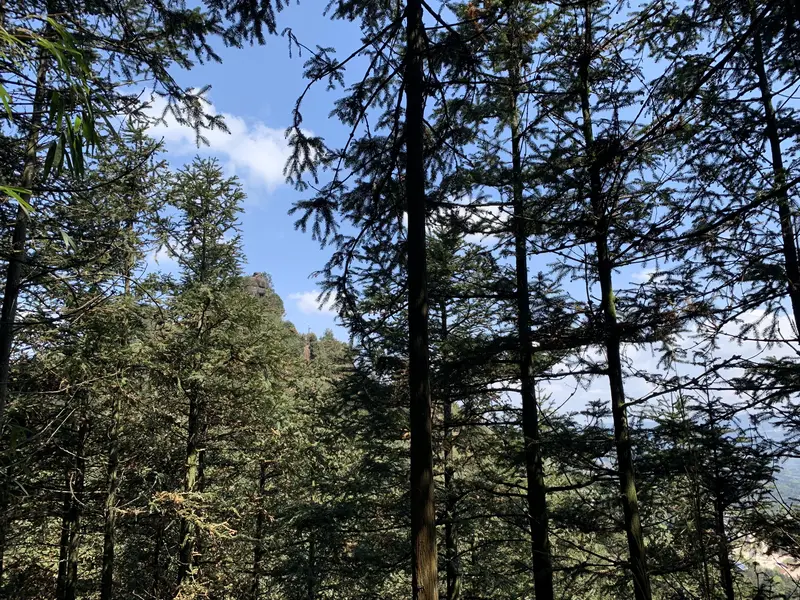 Bijia Mountain