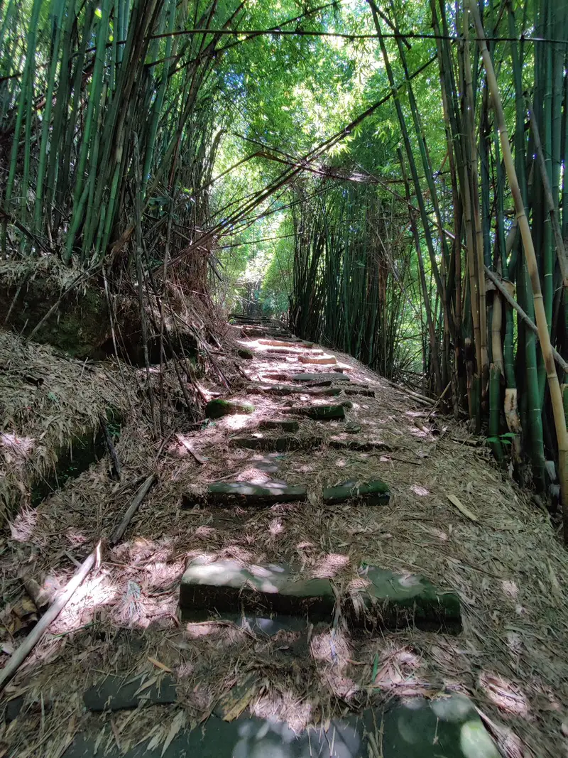 Laifengyi Ancient Road