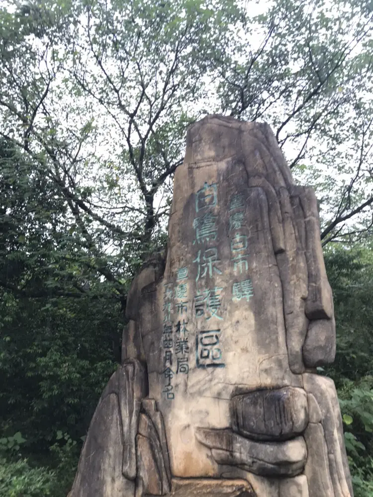 Sanduoqiao Village Egret Reserve