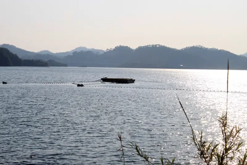 Thousand Island Lake Fishing Island