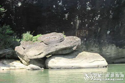 Upper And Lower Water Turtles