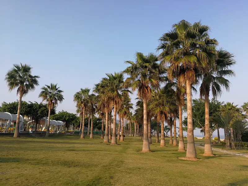 Xiamen Binhai Road