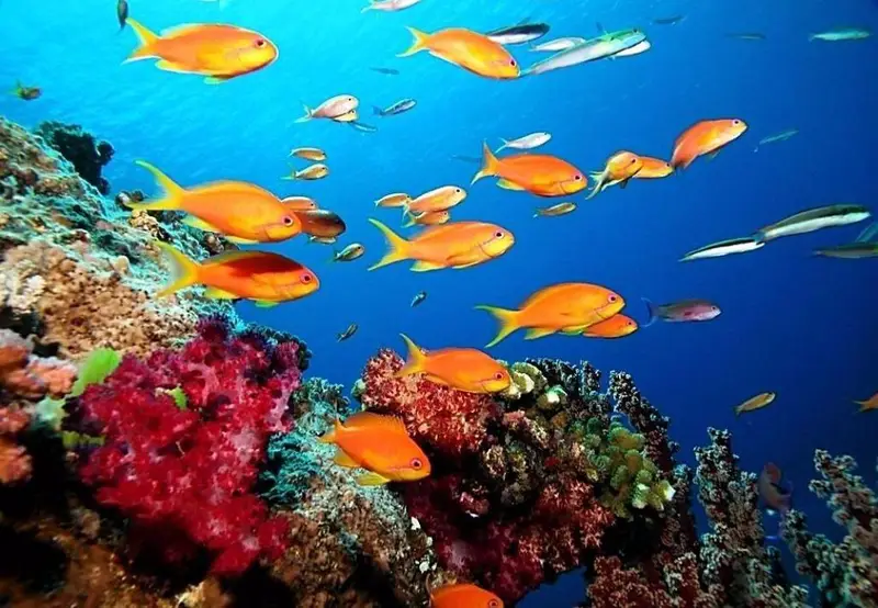 Yichang Underwater World