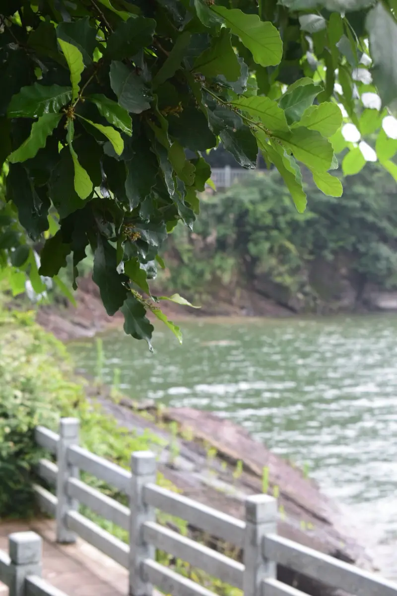 Sunshine Park