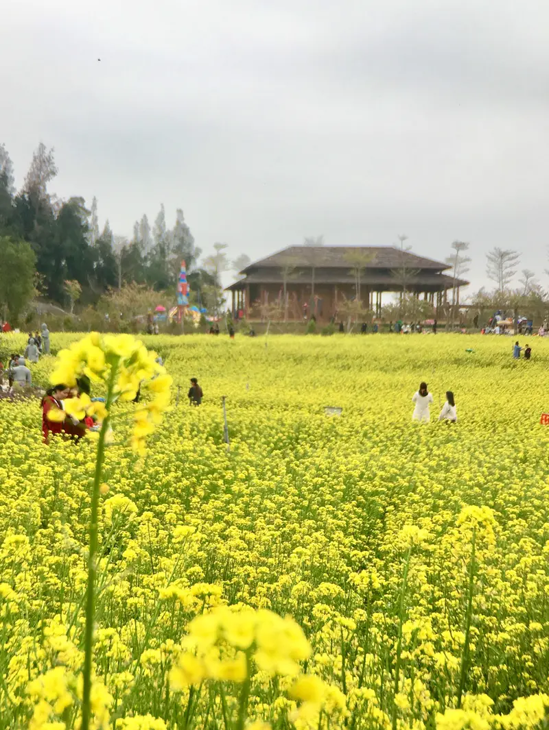 Xiangshan Park