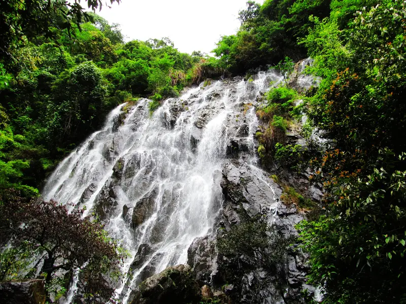 Wuyi Mountain Scenic Area-Jade Dragon Valley