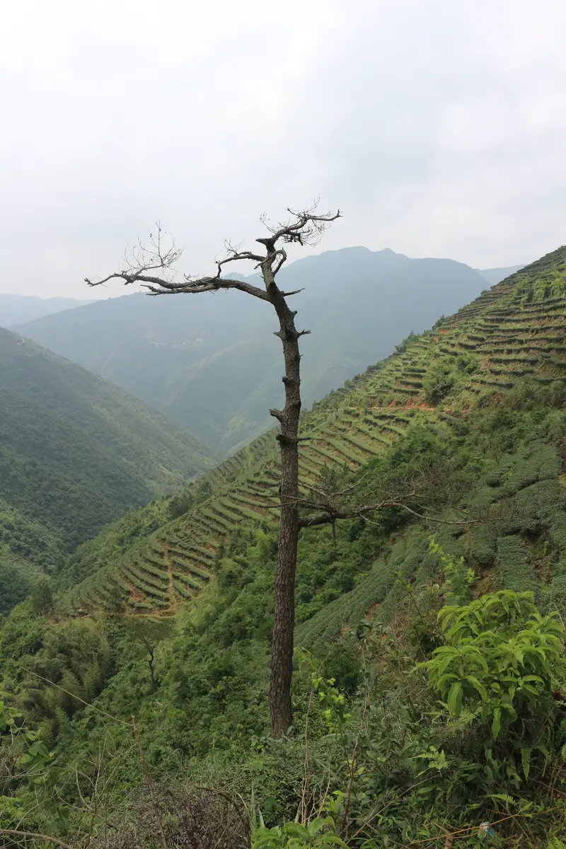 Xikeng Village