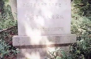 Yuewangcheng Site
