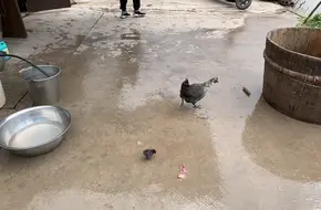 Xin'Anjiang Children'S Park