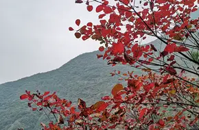 Flying Phoenix Peak
