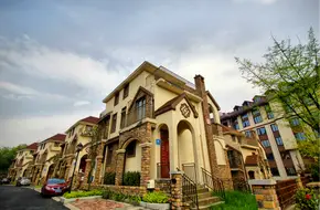 Fairy Mountain Town Ginkgo Avenue