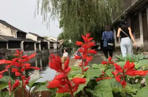 Xijiejiaoba Bridge
