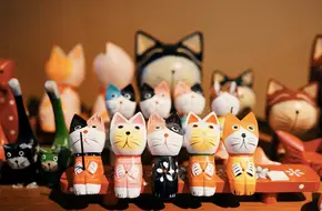 Xiamen Cat Museum