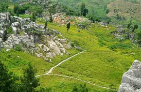 Wansheng Stone Forest Scenic Area