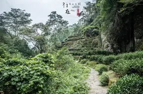 Yan Gu Hua Xiang Slow Path