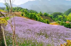 Natural World Scenic Area