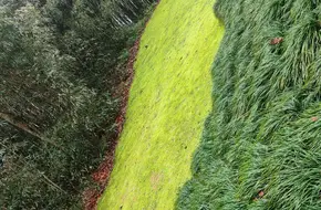 Mirror Terrace