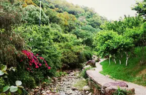 Wenzeng Road