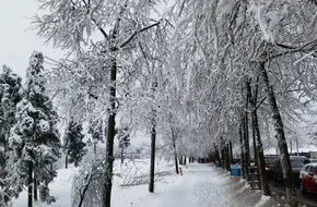 Jin Ding Shan Square