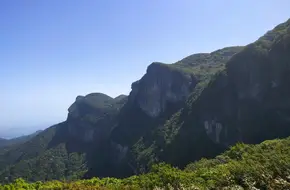 Eco-Stone Forest