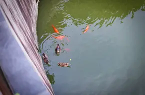 Hushan Park