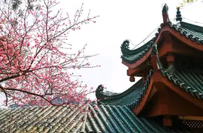 Bi Jin Park
