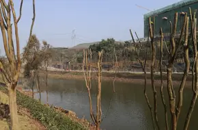 Gudaowan Park