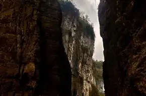 Carp Leaping Over The Dragon Gate
