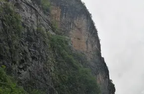 Hanging Coffins