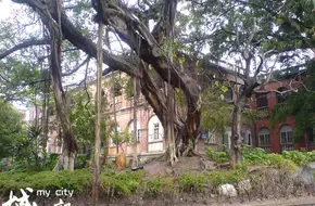 Fujian Road Old Buildings