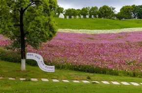Thousand Island Lake Ideal Garden