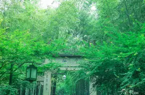 Yunqi Bamboo Path