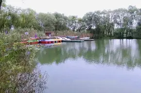 Dragon Boat Festival