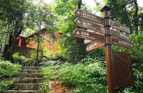 Jin Guang Lake