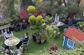 Mi Deng Garden
