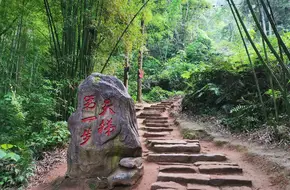 Ladder Of Love