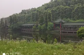 Daoyuan Scenic Area