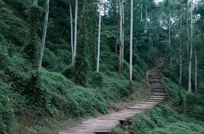 Tongguanyi Town