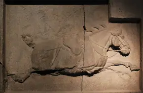 Six Steeds Of Zhaoling