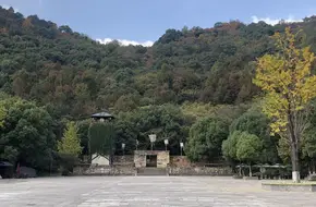 Shuiliu Yunchai