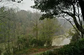 Dragon And Phoenix Stream Park