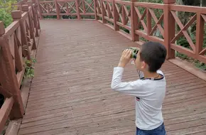 Xiangshan Temple