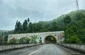 Jiangjin District Sibian Mountain Nongjiale (Shatang Bamboo Forest Farm)