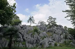 Thousand Island Lake Stone Forest Scenic Area