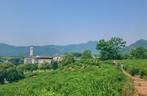Fuchun Shanju Resort