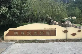 Pearl View Park