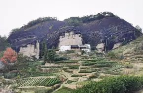 Horse Head Rock