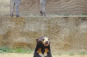Hangzhou Zoo & Wildlife World - African Savanna