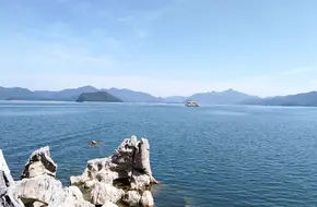 Osmanthus Island (Monkey Island)